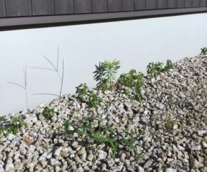 庭や外構に砂利を敷いて家屋周りの湿気を抑えることが可能です 株式会社日本海建設 出雲 雲南 松江市の島根の土木工事業者